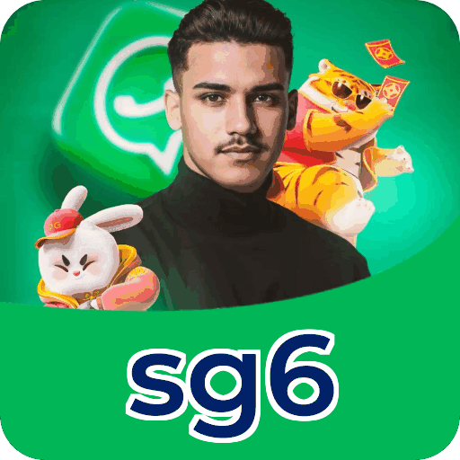 Interface sg6